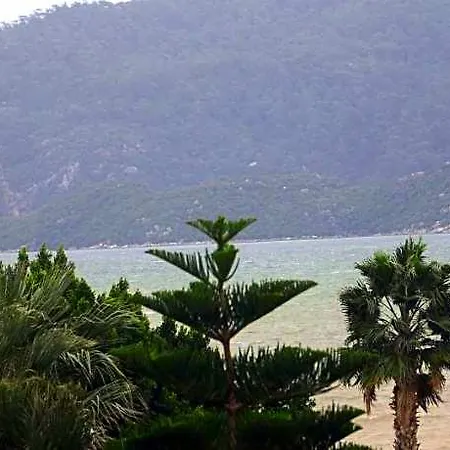 Almena Hotel 4*